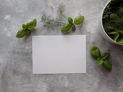 balcony garden with potted herbs