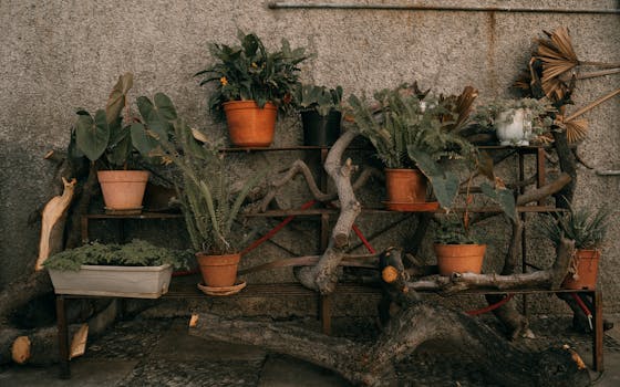 urban garden with a variety of plants