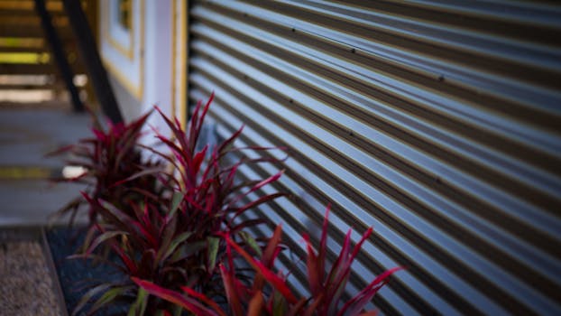 colorful urban garden with diverse plants