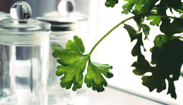 container garden with herbs