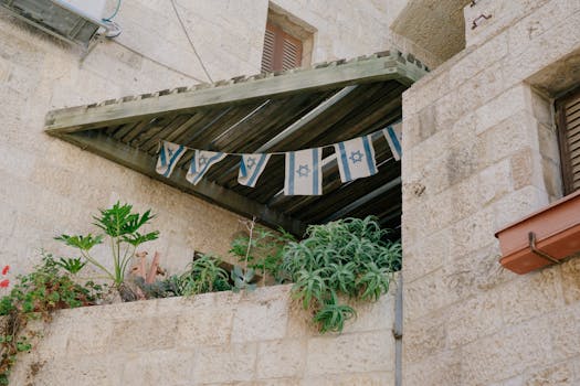 urban balcony garden