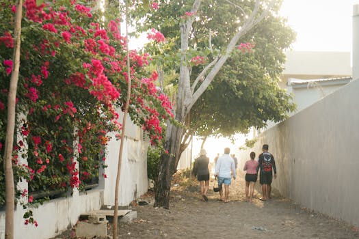 community garden with blooming flowers