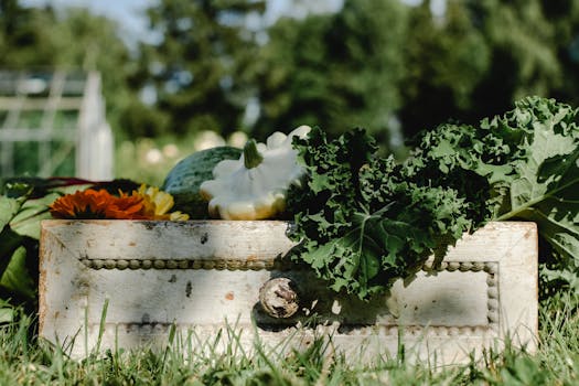 urban farm with members picking vegetables