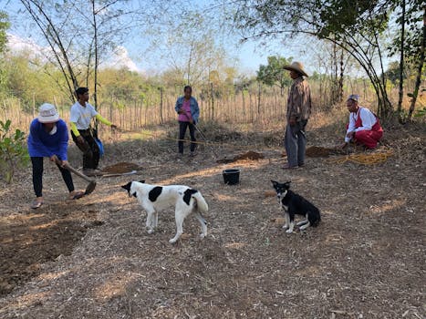 community supported agriculture gathering