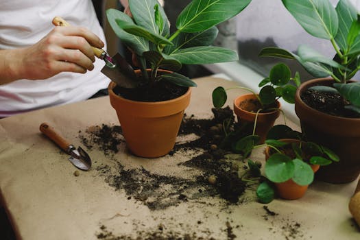 organic gardening techniques