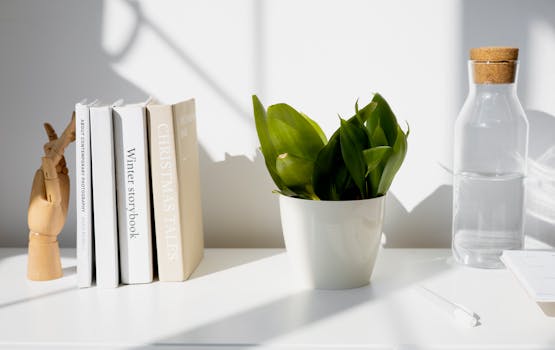 Indoor Container Garden Setup