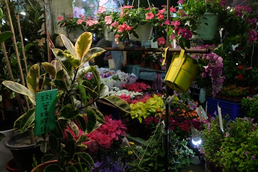 A vibrant urban garden with various plants