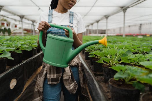 urban gardener tending to plants