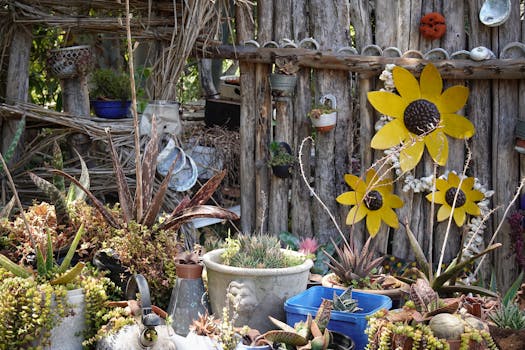 vibrant container garden with diverse plants