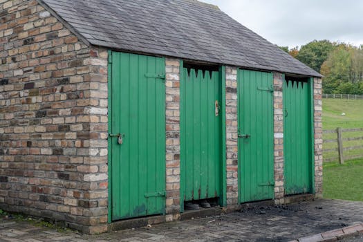 shed with green roof