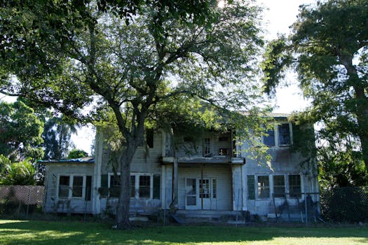 green roof success story