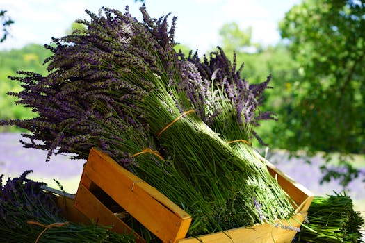 Vertical garden with herbs and flowers