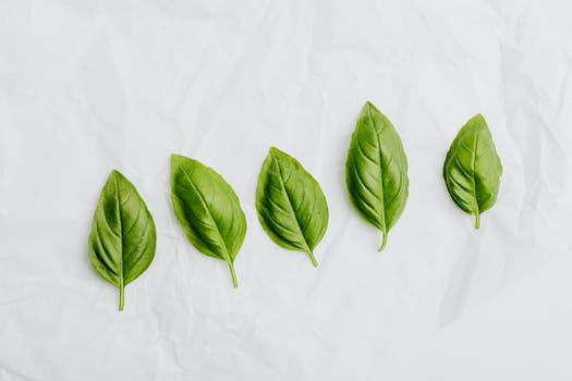 Mini herb garden on a kitchen windowsill