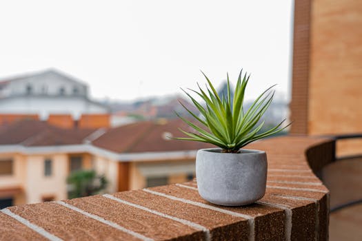 A small balcony garden filled with pots and plants