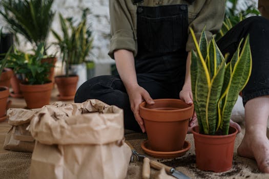 herb garden in pots