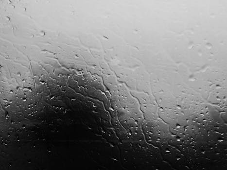 image of a rain barrel collecting water