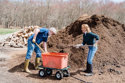 healthy compost