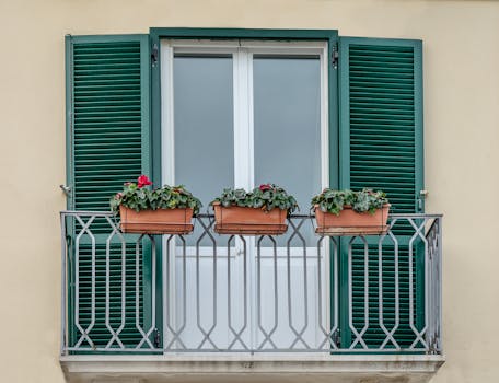 urban balcony garden with native plants