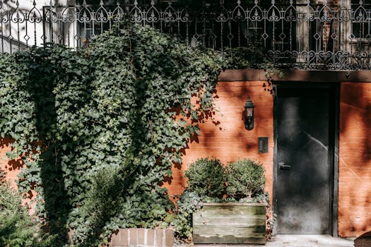 Urban balcony garden