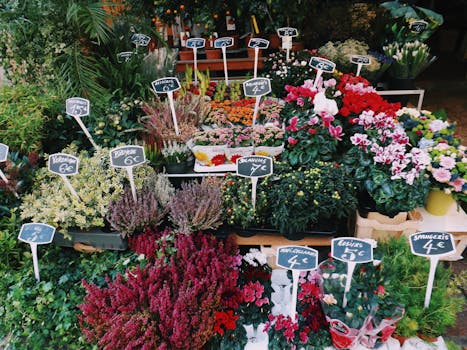 vibrant urban garden with diverse crops