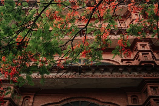 a balcony with vertical garden and containers