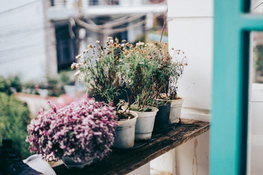 container garden on balcony