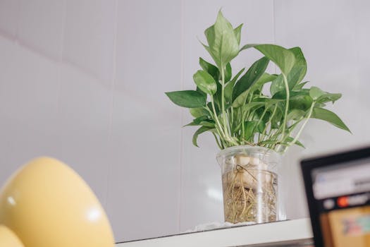 Simple indoor herb garden