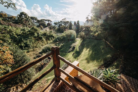 lush vegetable garden on terrace