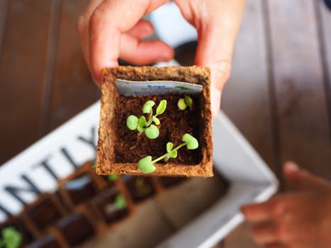 small container garden