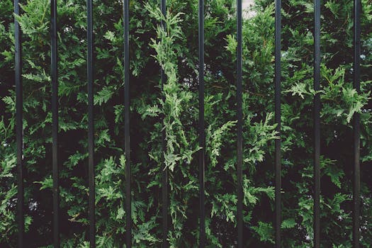 lush vertical garden in an urban setting