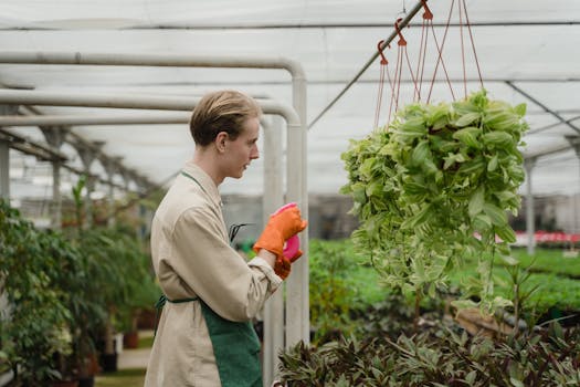 hanging herb garden