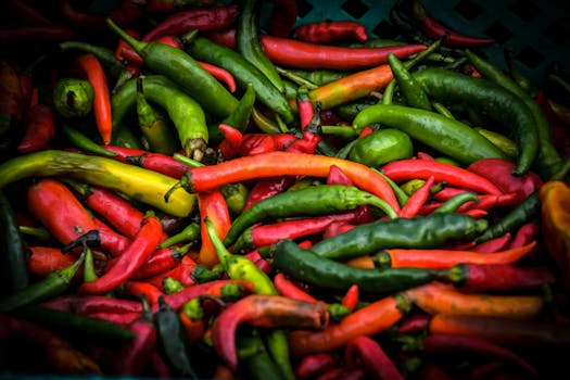 colorful vegetable garden