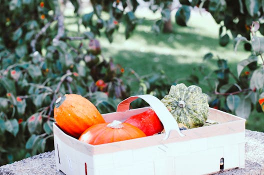 urban garden with various vegetables