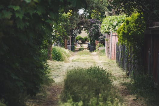 urban garden with vegetables