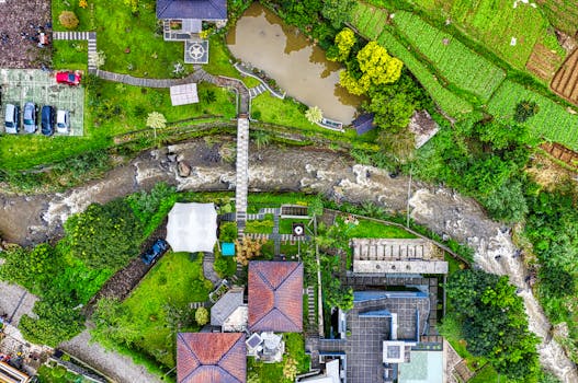 lush community garden