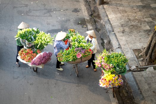 beautiful urban garden with diverse plants