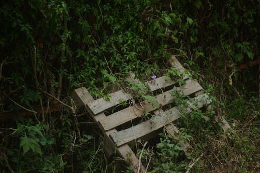 recycled pallet garden