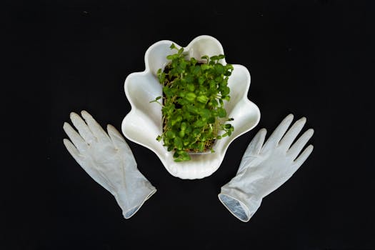 vertical planter with herbs