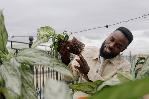 urban micro-farm