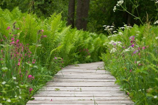 biodynamic gardening