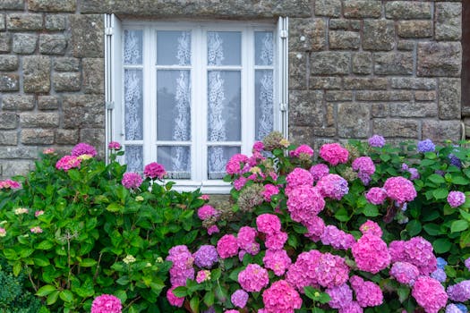 beautiful urban garden with flowers and vegetables