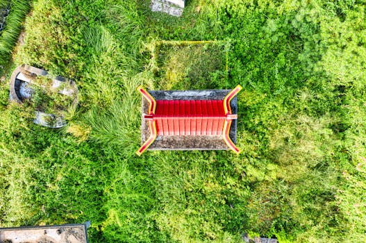 lush green rooftop garden