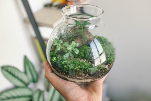 container garden on a small balcony