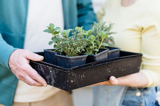 community gardening