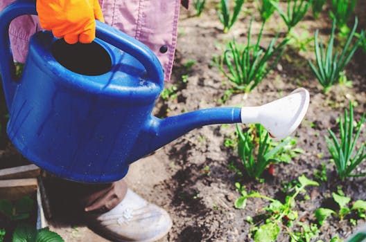 water conservation in gardening