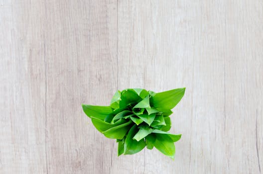 Vertical herb garden made from a wooden pallet